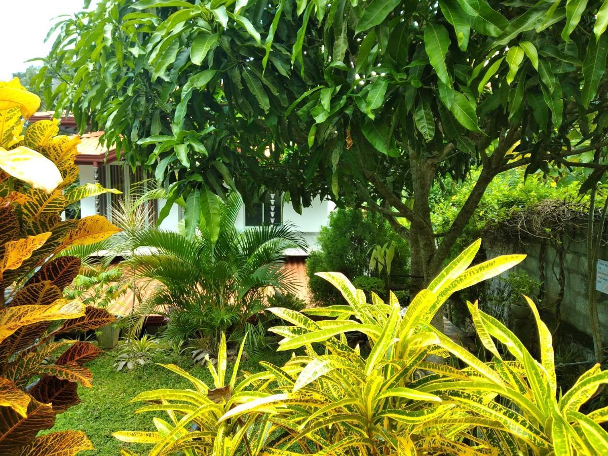 Sandhara Home Stay Tangalle Eksteriør bilde